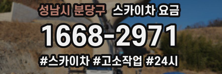 성남시 분당구 스카이차 요금