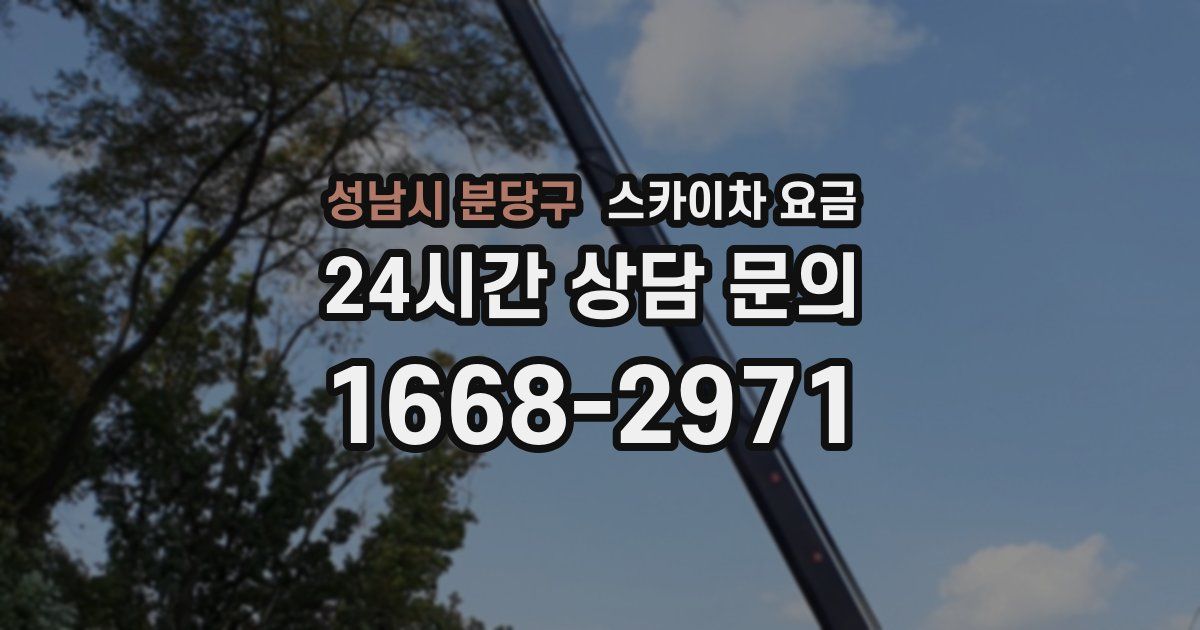 성남시 분당구 스카이차 요금
