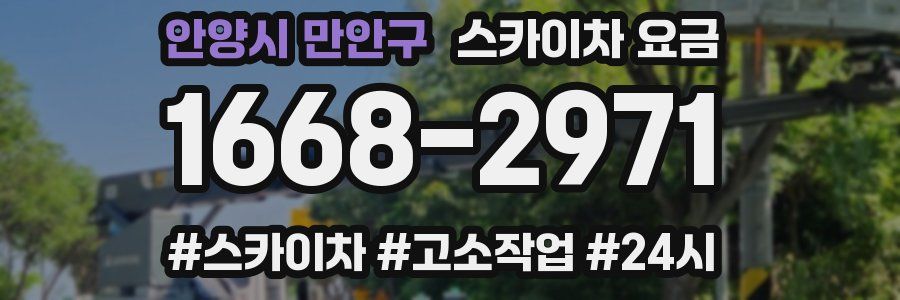 안양시 만안구 스카이차 요금