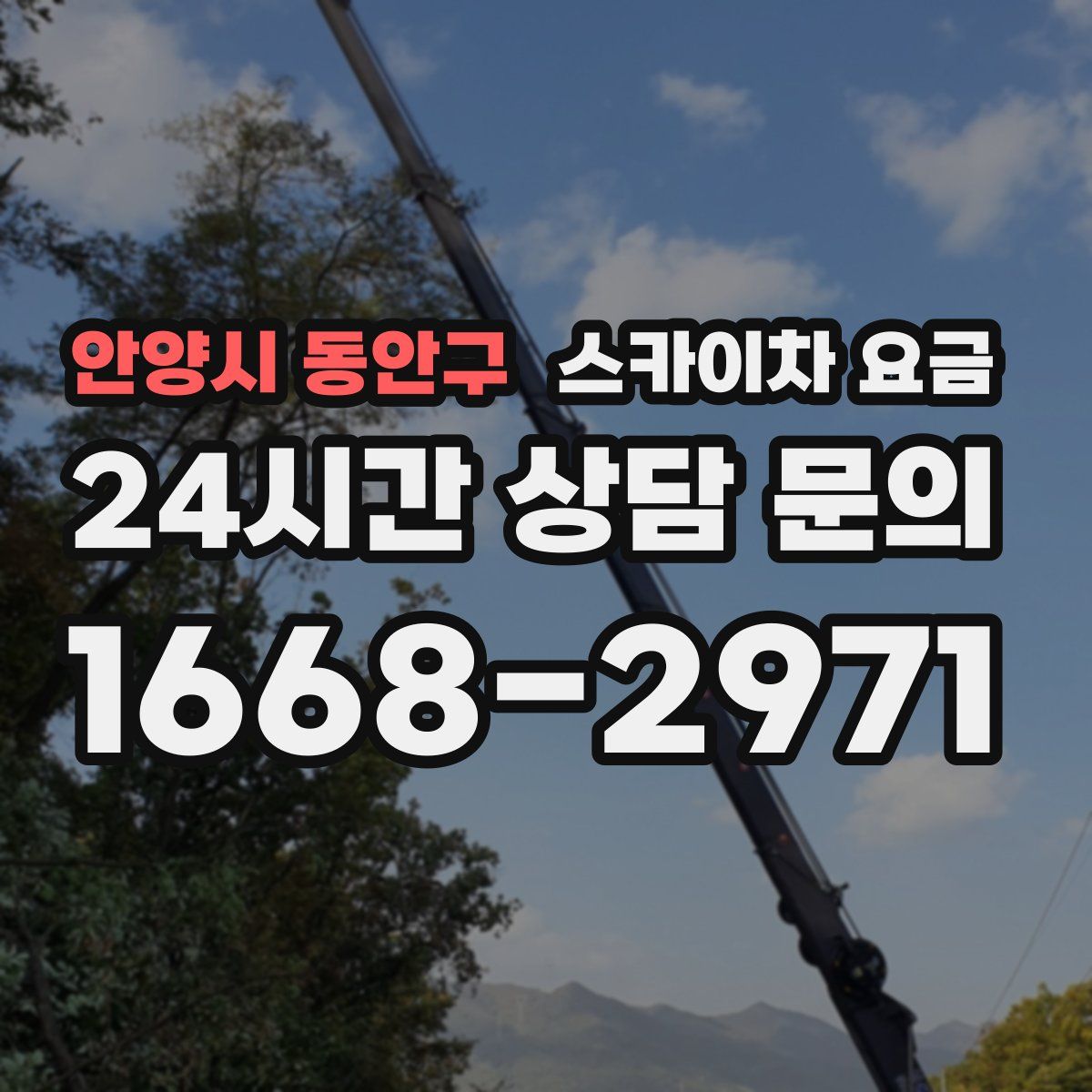 안양시 동안구 스카이차 요금