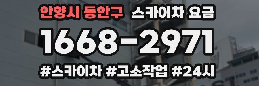 안양시 동안구 스카이차 요금
