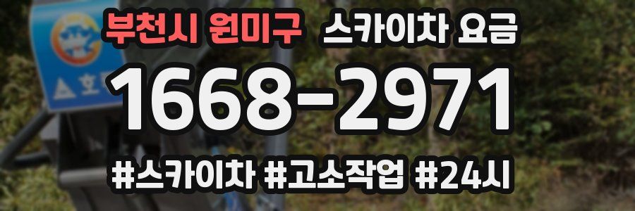 부천시 원미구 스카이차 요금