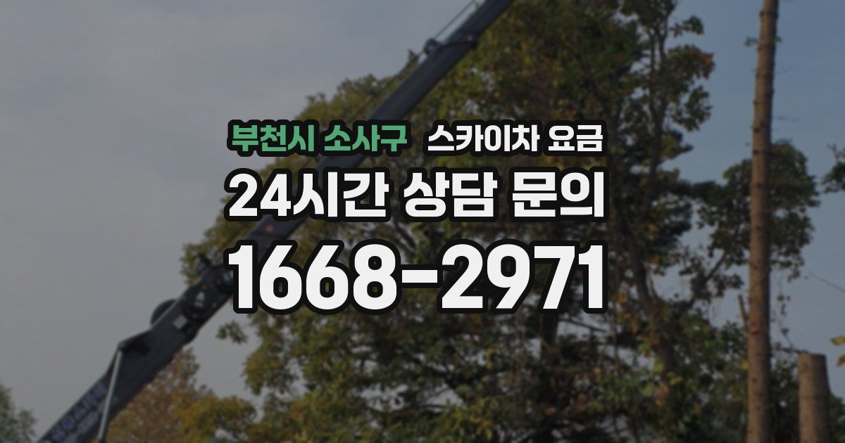 부천시 소사구 스카이차 요금