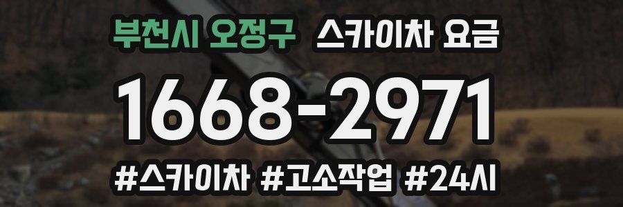 부천시 오정구 스카이차 요금