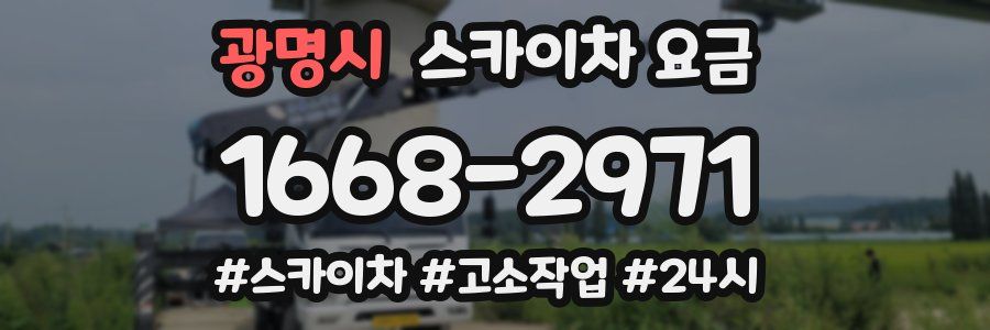 광명시 스카이차 요금