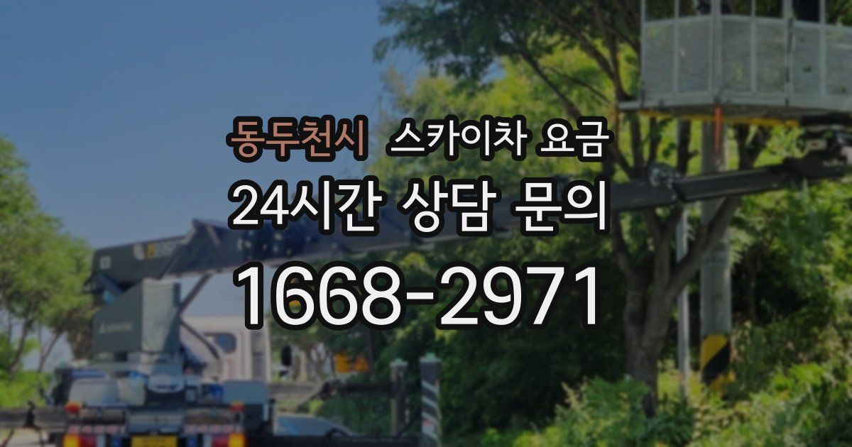 동두천시 스카이차 요금