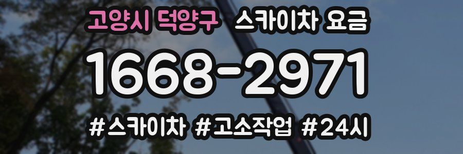 고양시 덕양구 스카이차 요금