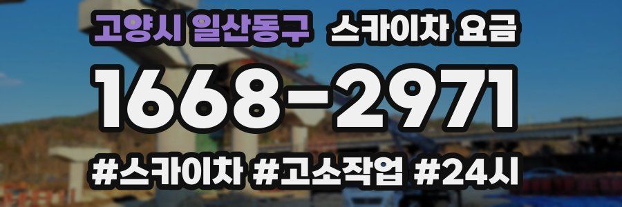 고양시 일산동구 스카이차 요금