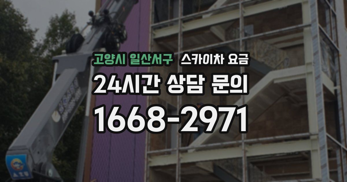 고양시 일산서구 스카이차 요금
