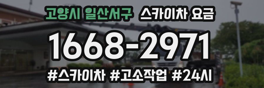 고양시 일산서구 스카이차 요금