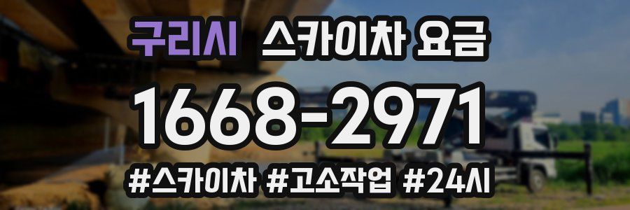 구리시 스카이차 요금