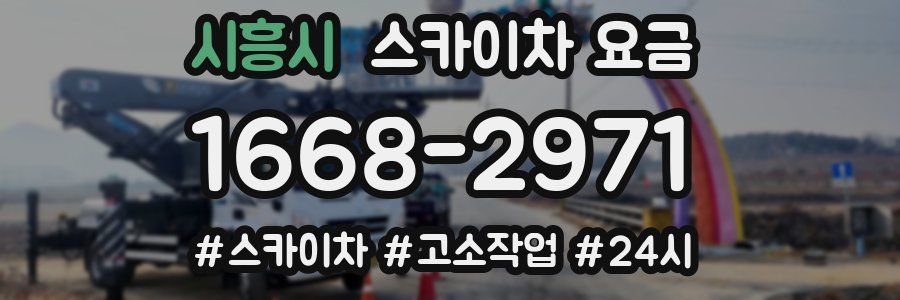 시흥시 스카이차 요금