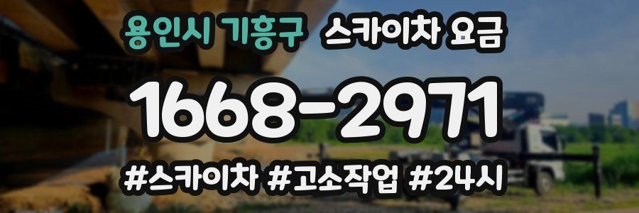 용인시 기흥구 스카이차 요금