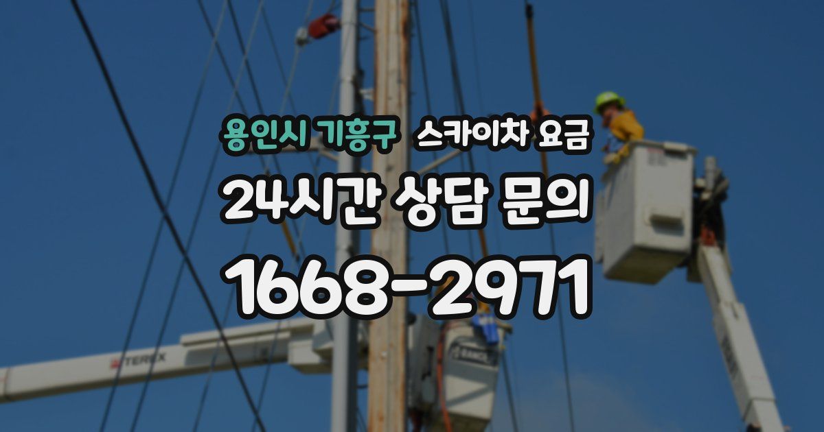 용인시 기흥구 스카이차 요금
