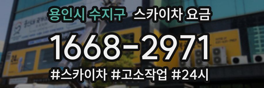 용인시 수지구 스카이차 요금