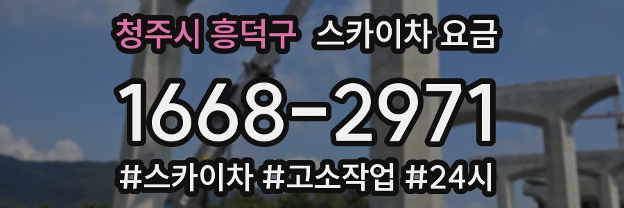 청주시 흥덕구 스카이차 요금