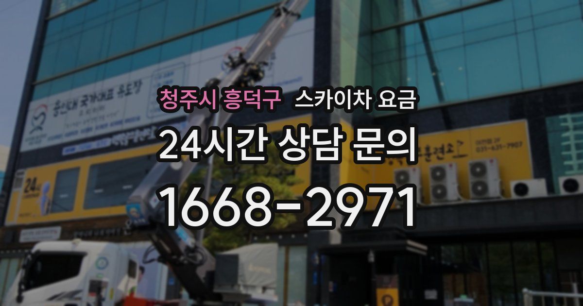 청주시 흥덕구 스카이차 요금