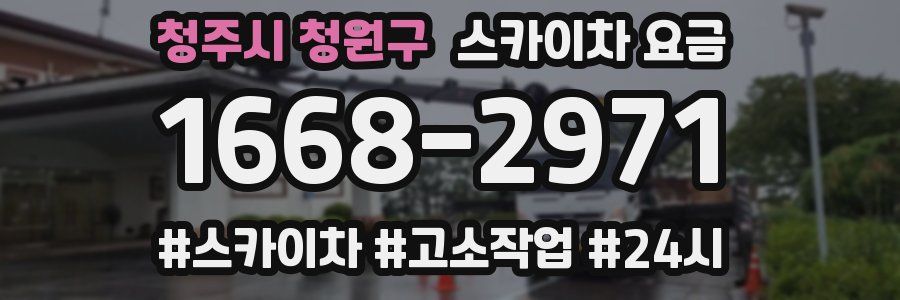 청주시 청원구 스카이차 요금