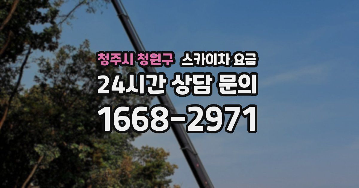 청주시 청원구 스카이차 요금