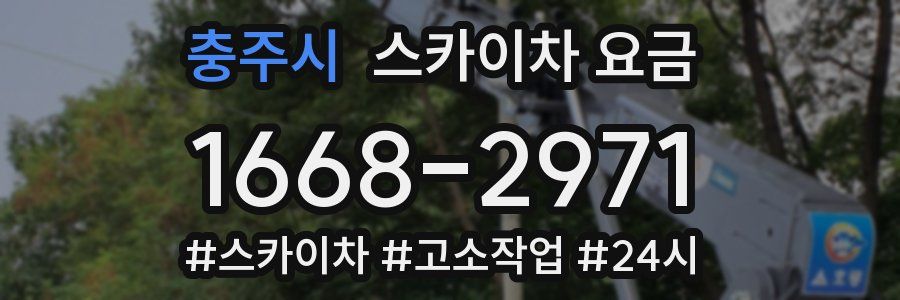 충주시 스카이차 요금