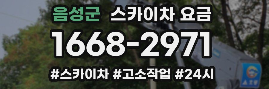음성군 스카이차 요금