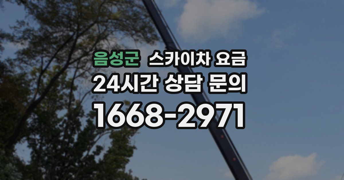 음성군 스카이차 요금