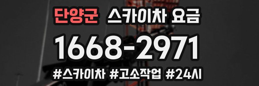 단양군 스카이차 요금