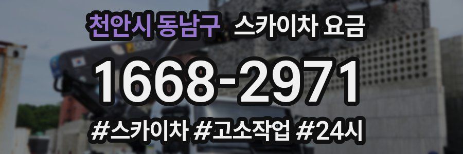 천안시 동남구 스카이차 요금