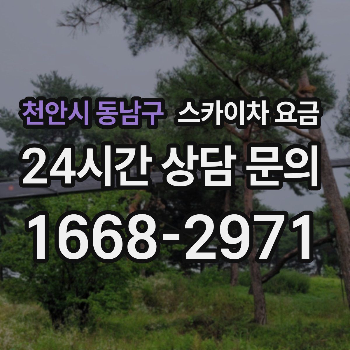 천안시 동남구 스카이차 요금
