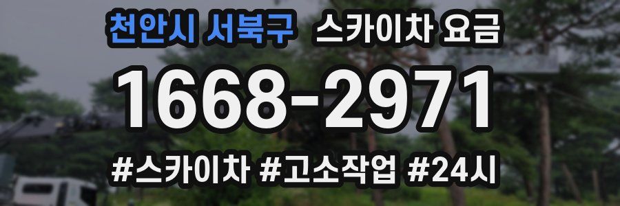 천안시 서북구 스카이차 요금