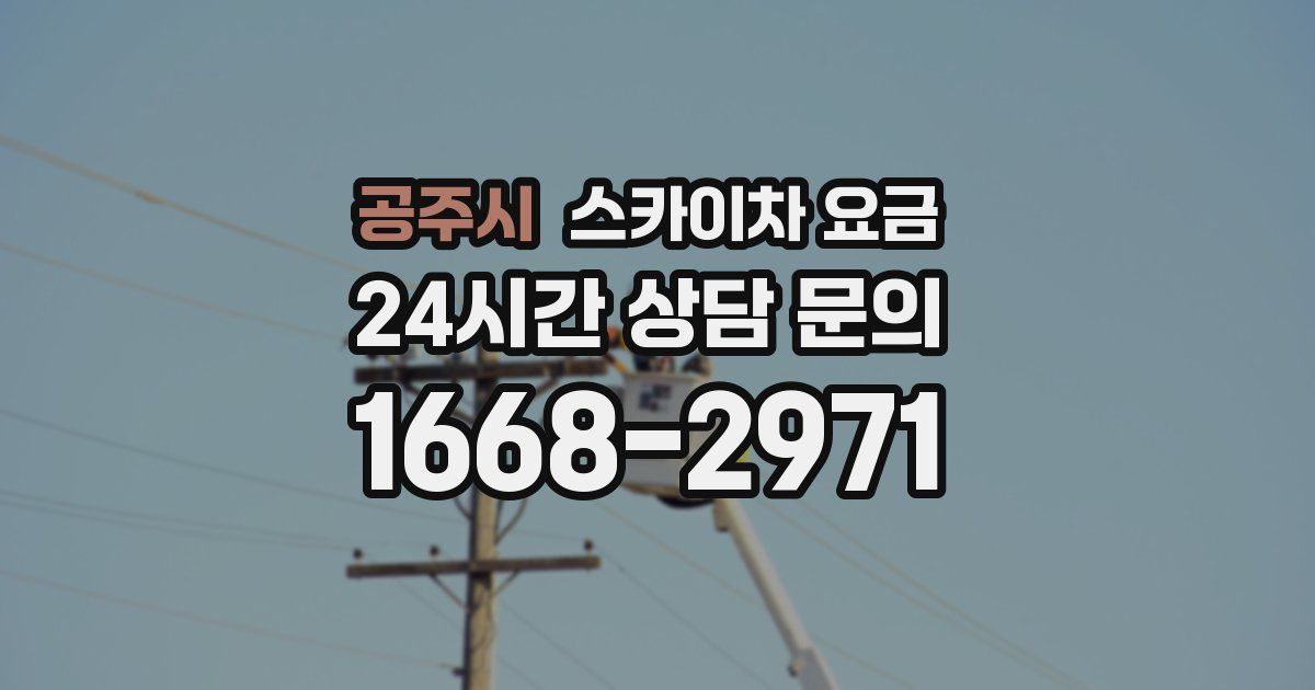 공주시 스카이차 요금