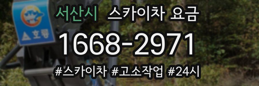 서산시 스카이차 요금