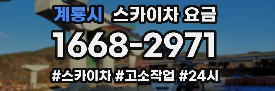 계룡시 스카이차 요금