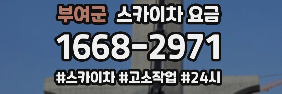 부여군 스카이차 요금