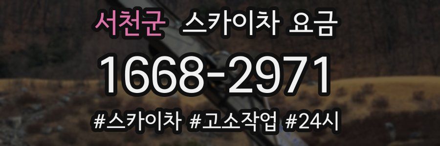 서천군 스카이차 요금