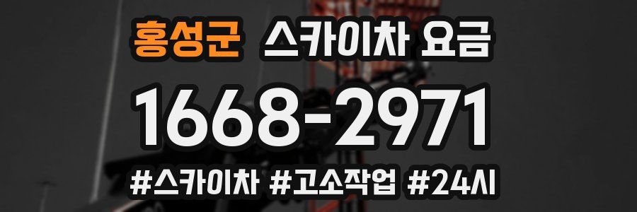 홍성군 스카이차 요금