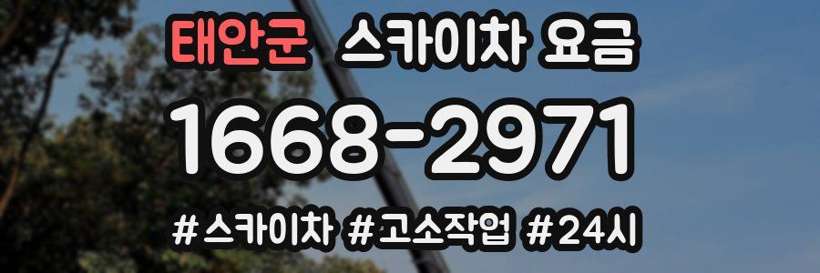 태안군 스카이차 요금
