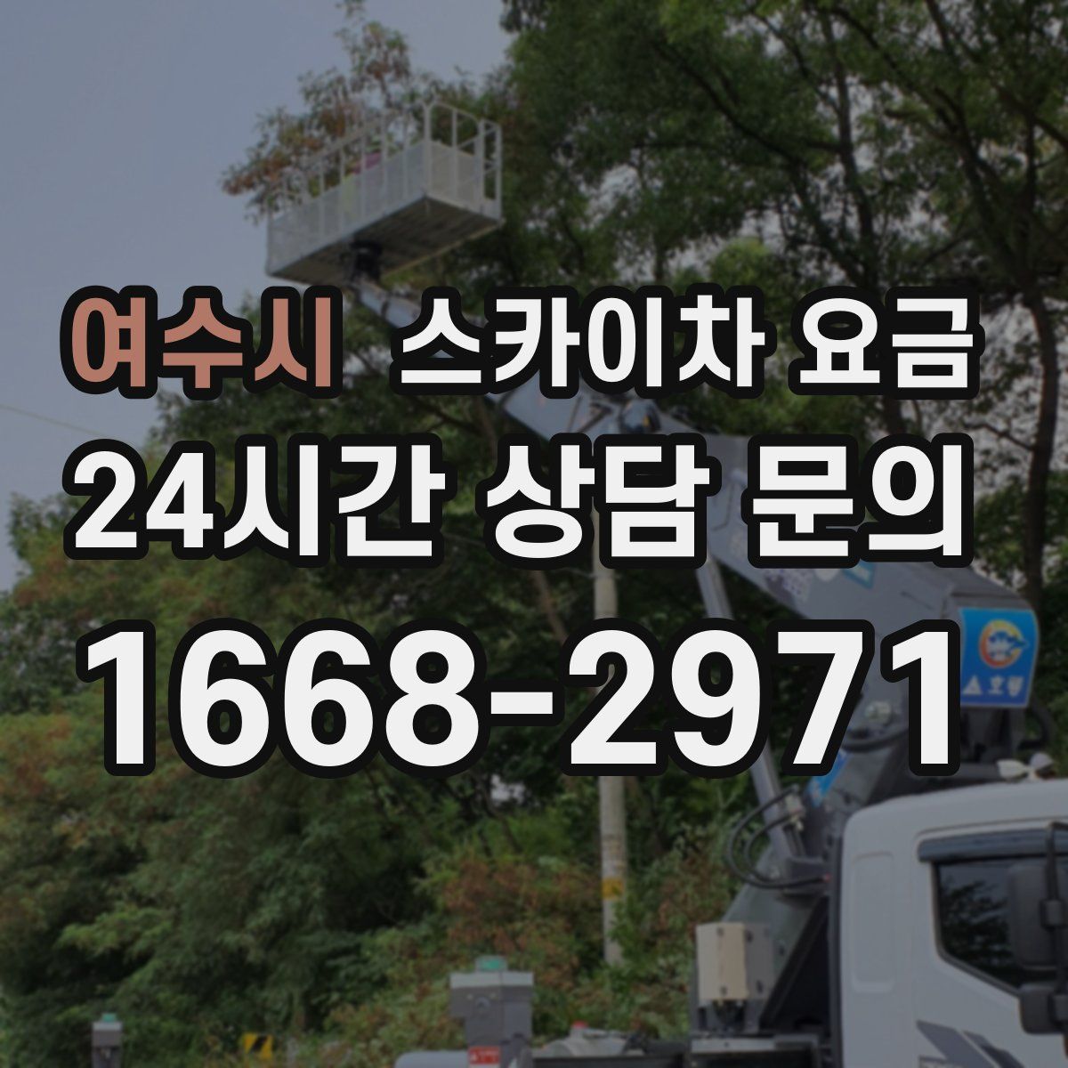 여수시 스카이차 요금