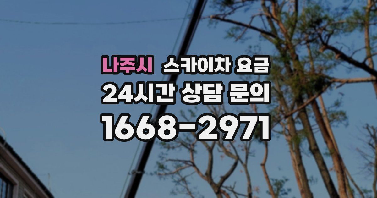 나주시 스카이차 요금