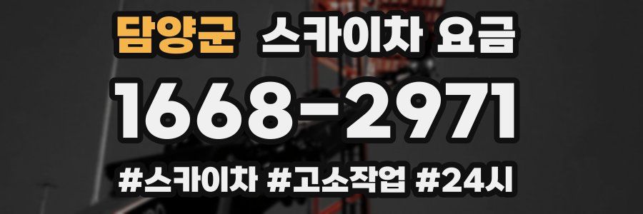 담양군 스카이차 요금
