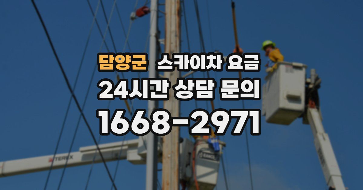 담양군 스카이차 요금