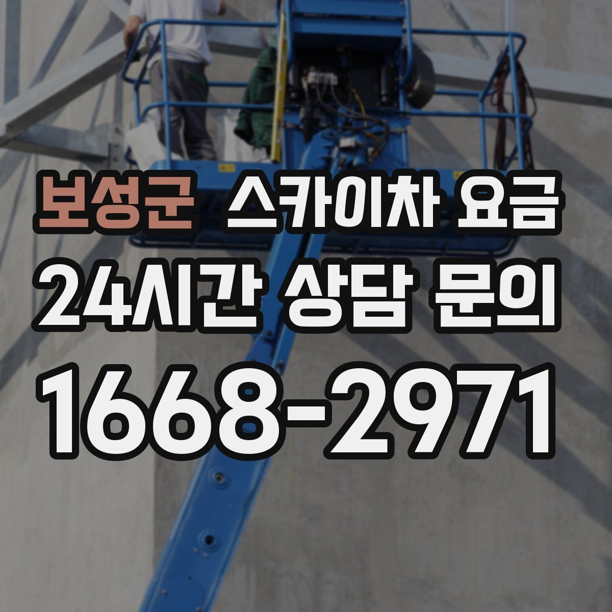 보성군 스카이차 요금
