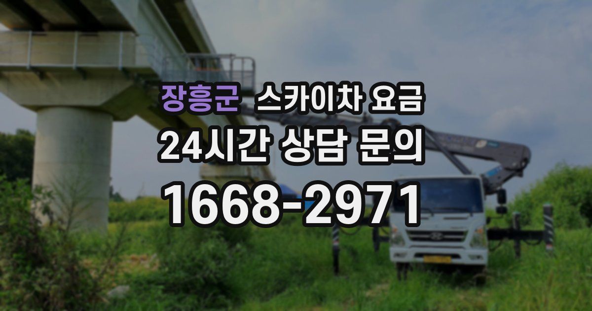 장흥군 스카이차 요금