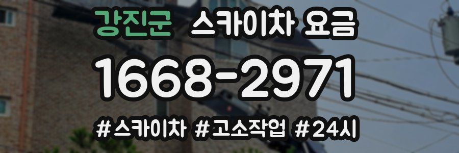 강진군 스카이차 요금