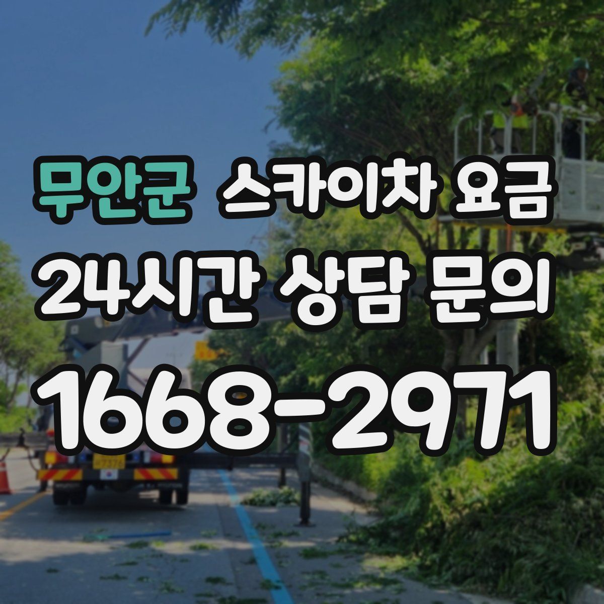 무안군 스카이차 요금