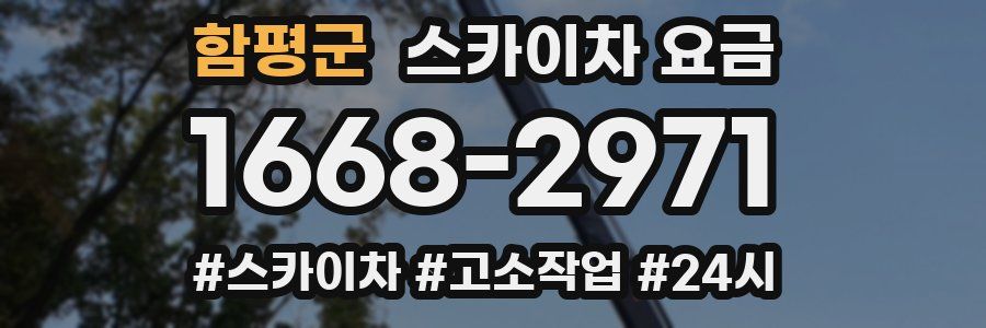 함평군 스카이차 요금
