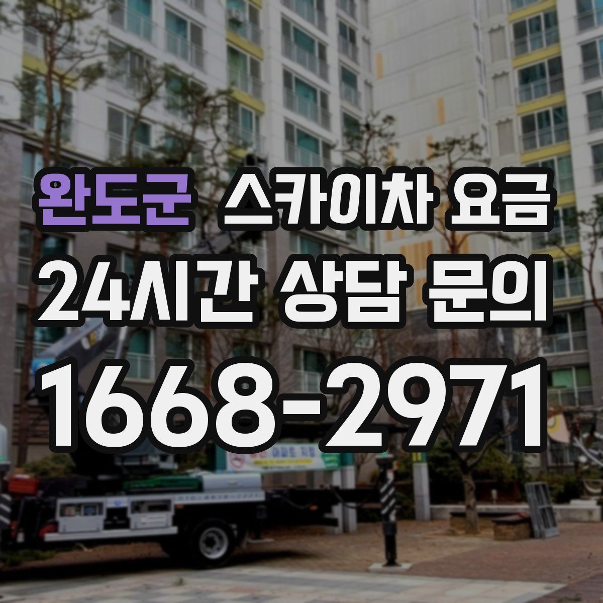 완도군 스카이차 요금