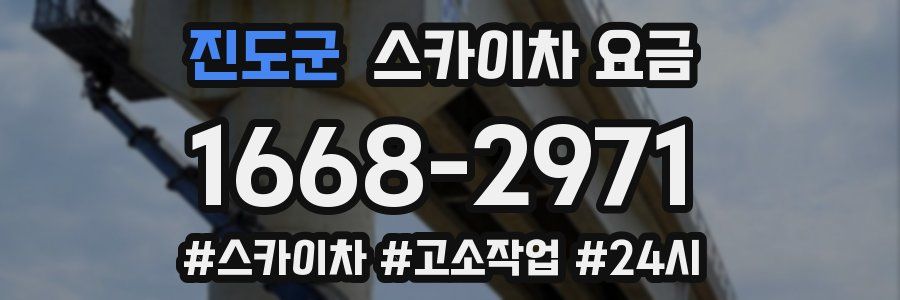 진도군 스카이차 요금