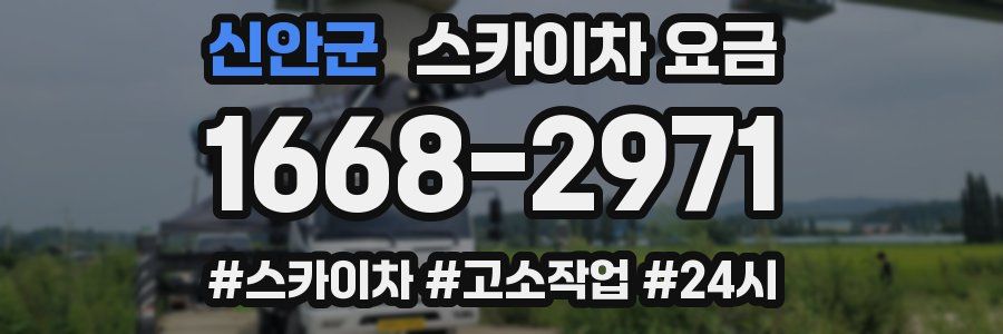 신안군 스카이차 요금