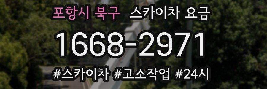 포항시 북구 스카이차 요금